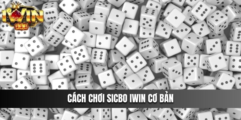 Cách chơi Sicbo IWIN cơ bản