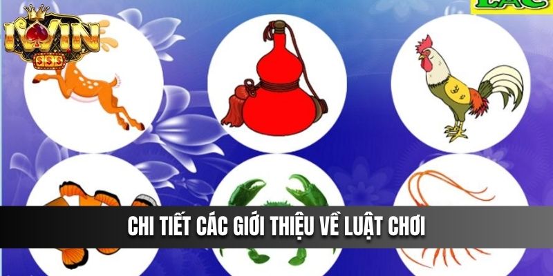 Chi tiết các giới thiệu về luật chơi Bầu Cua IWIN