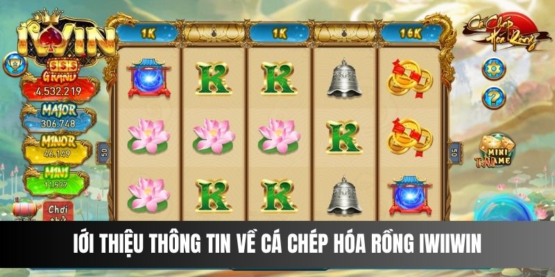 iới thiệu thông tin về cá chép hóa rồng IwiIwin